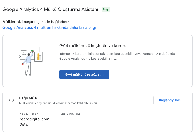 Google Analytics 4 mülkü