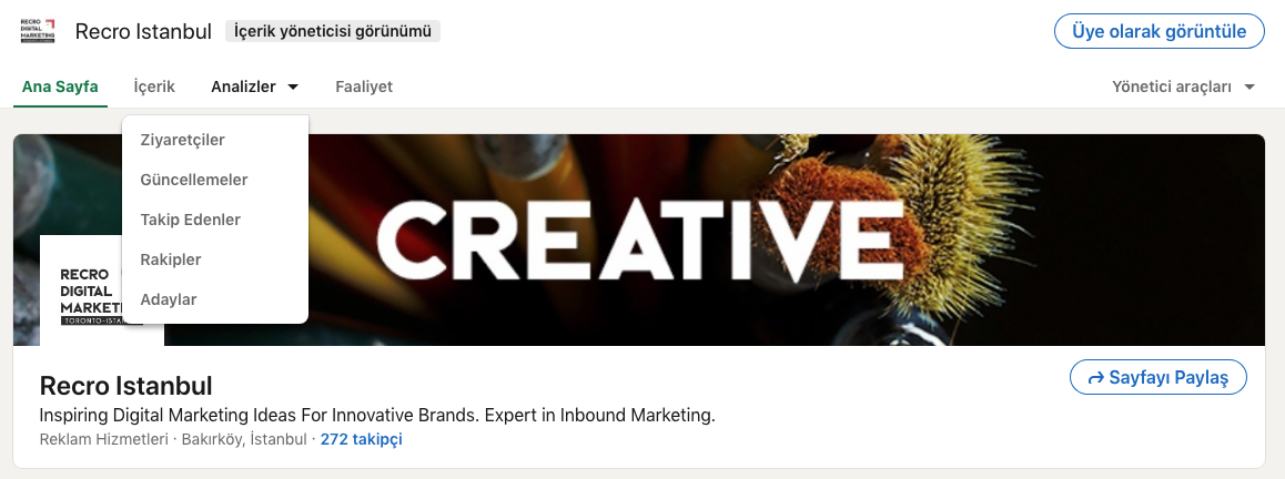 LinkedIn analiz