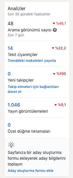 LinkedIn sayfa analizleri